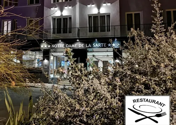 Hotel Adonis Lourdes - Notre Dame De La Sarte