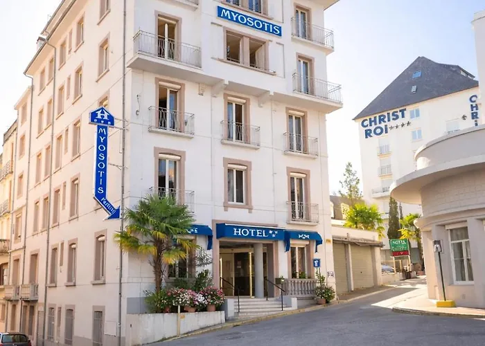 Hotel Myosotis Lourdes